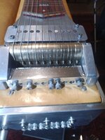 IMG_20251117_223559.jpg