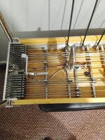 IMG_20260117_072026.jpg
