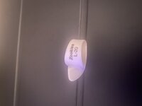 IMG_2239.jpeg