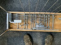 IMG_5224.jpeg