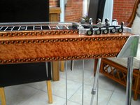 PEDAL STEEL 009 (Copy).JPG