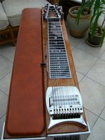 PEDAL STEEL 010 (Copy).JPG