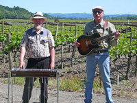 vineyard2.jpg