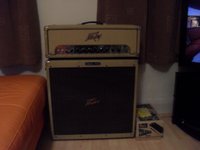 1954Fenderdeluxandpeavey50classicamp010_zps2e729b42.jpg