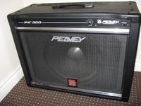 Peavey PX300 Powered Cabinet.JPG