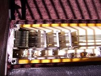 S10 ShoBud 003.jpg