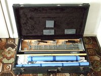 Guitar in Case.JPG