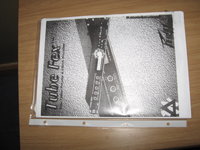 Peavey TranstubeFex 006.JPG