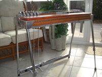 PEDAL STEEL 008 (2)_resize.JPG