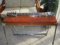 PEDAL STEEL 004 (2)_resize.JPG