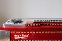 shobud smaller.jpg