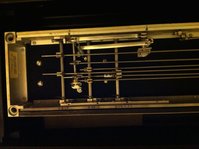 IMG_0904.jpg