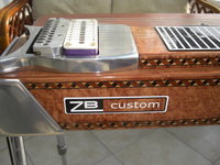 PEDAL STEEL 002 (2)_resize.JPG