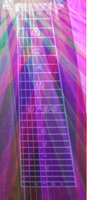 Mirror Ball Fretboard.jpg