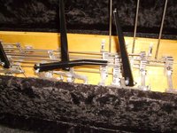 Bennet Pro 008.jpg