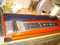 Shobud type guitar 020.jpg