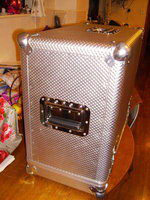 Scott Dixon Case 005a.jpg