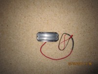 IMG_2785 (Medium).JPG