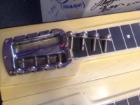 Fender 1000.jpeg