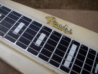55fender_logo.jpg
