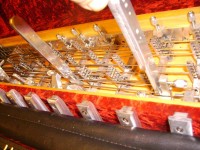 picture3.jpg