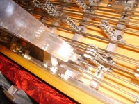 picture4.jpg