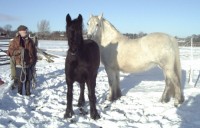 S and M in snow.jpg