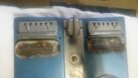 Mystery Lapsteel pups (Copy).jpg