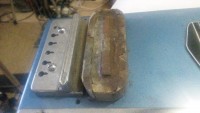 Mystery Lapsteel pup 1 (Copy).jpg