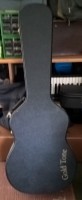 GoldTone case.jpg
