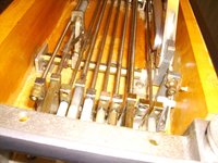 PICT3017.jpg