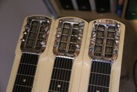IMG_9029.JPG