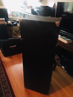 pedal steel 2 .jpg