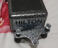 hilton 2.jpg