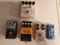 Cat tone.jpg
