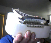 Lap tail white.JPG