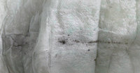 Nappy Dirt.jpg
