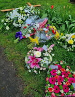 Roy flowers 12th.jpg (443.62 KiB) Viewed 1493 times Roy flowers 12th.jpg