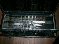 004.JPG