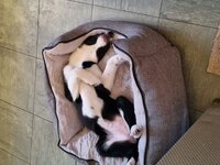 20220608_205057.jpg