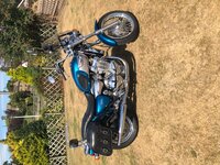 My Triumph.jpg