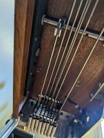 PXL_20230206_125635072.jpg