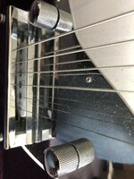 IMG_1606.jpeg