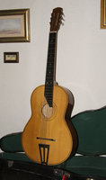 Acoustic Lapsteel.jpg