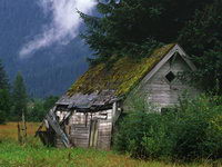 Shed in Field.jpg