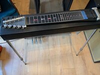 IMG_3095.jpeg