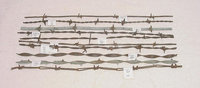 barbwire.jpg