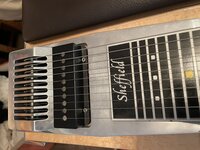 IMG_3836.jpeg
